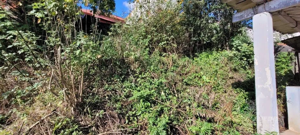 Casa, 2 quartos, 141 m² - Foto 4