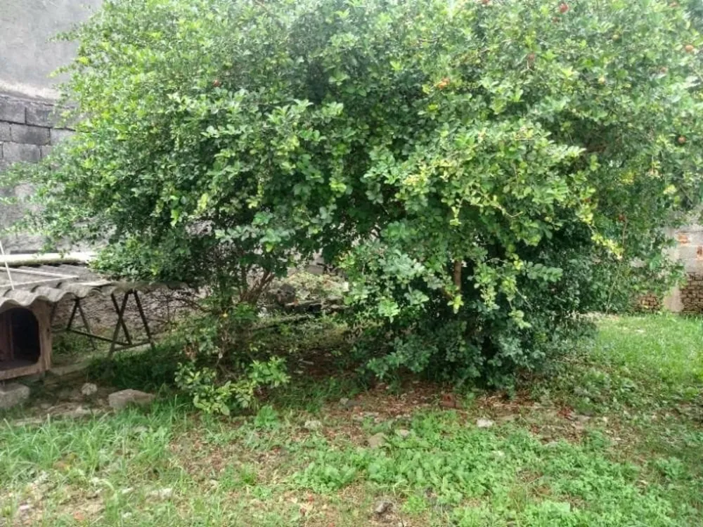 Casa, 2 quartos, 100 m² - Foto 16