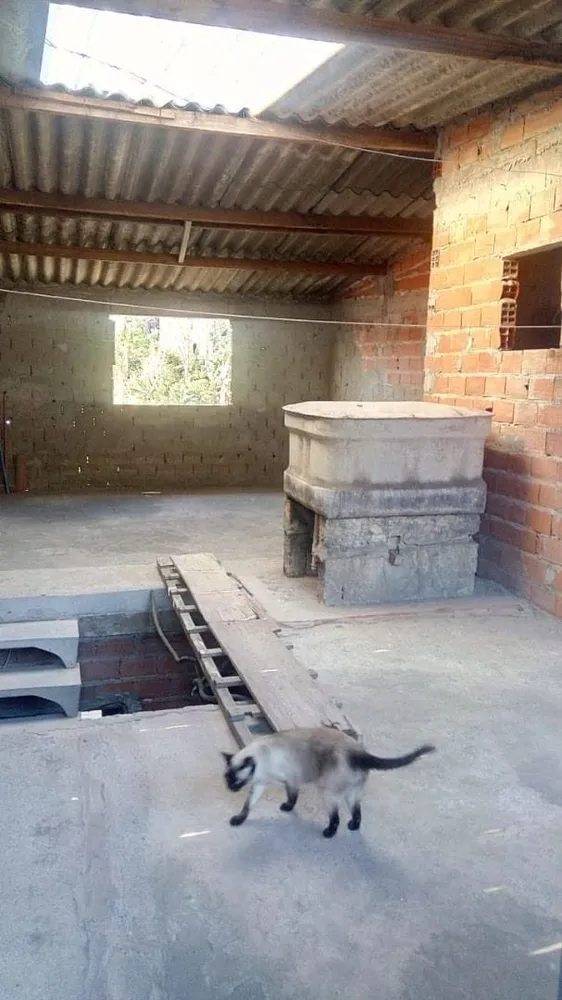Casa, 2 quartos, 280 m² - Foto 4
