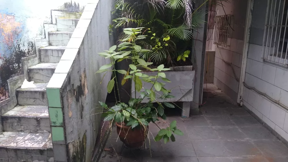 Casa, 2 quartos, 263 m² - Foto 4