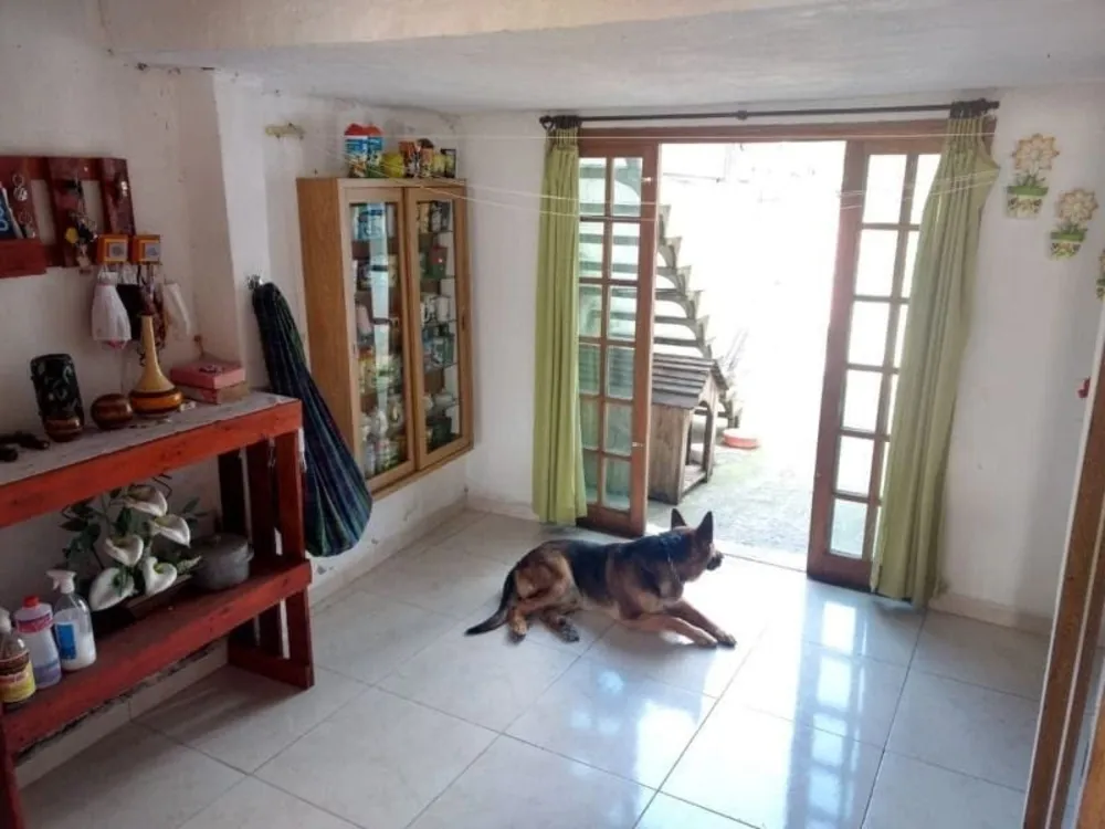 Casa, 2 quartos, 337 m² - Foto 8