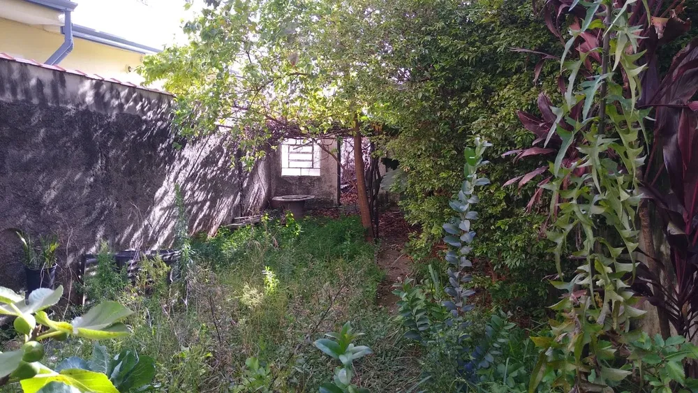 Terreno, 251 m² - Foto 6