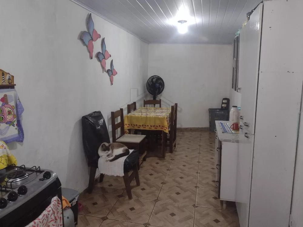 Sítio, 1 quarto, 1290 m² - Foto 3