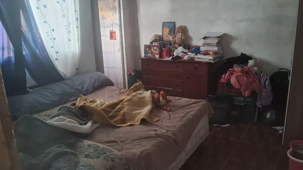 Casa, 4 quartos, 218 m² - Foto 11