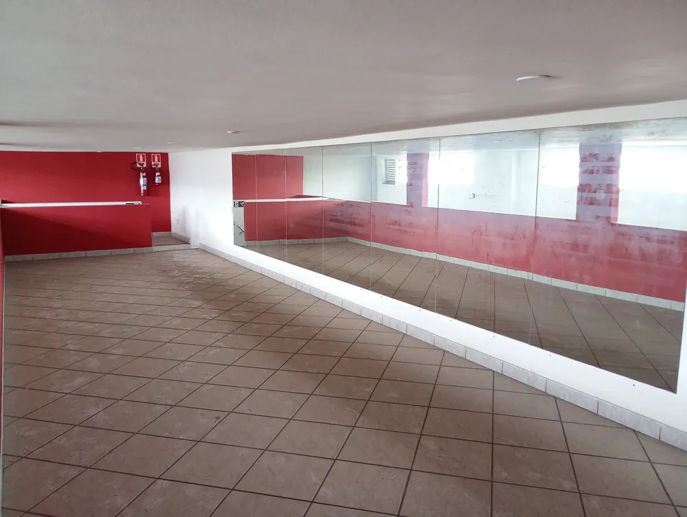 Sala-Conjunto, 380 m² - Foto 8