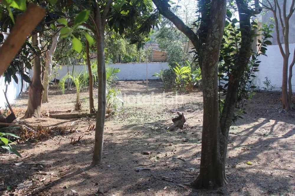 Terreno - Foto 1