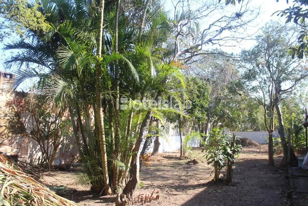 Terreno - Foto 7