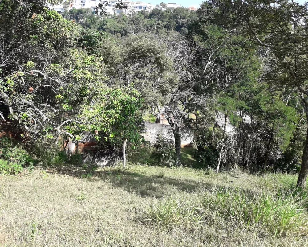 Terreno à venda, 10000m² - Foto 3