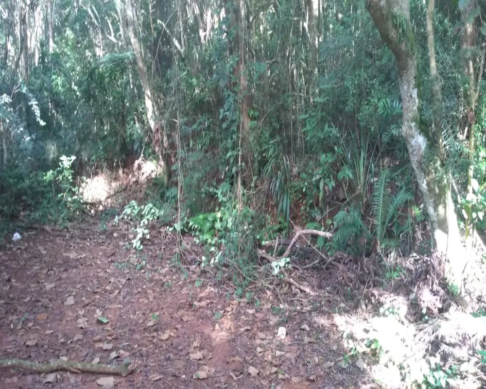 Terreno, 10000 m² - Foto 30
