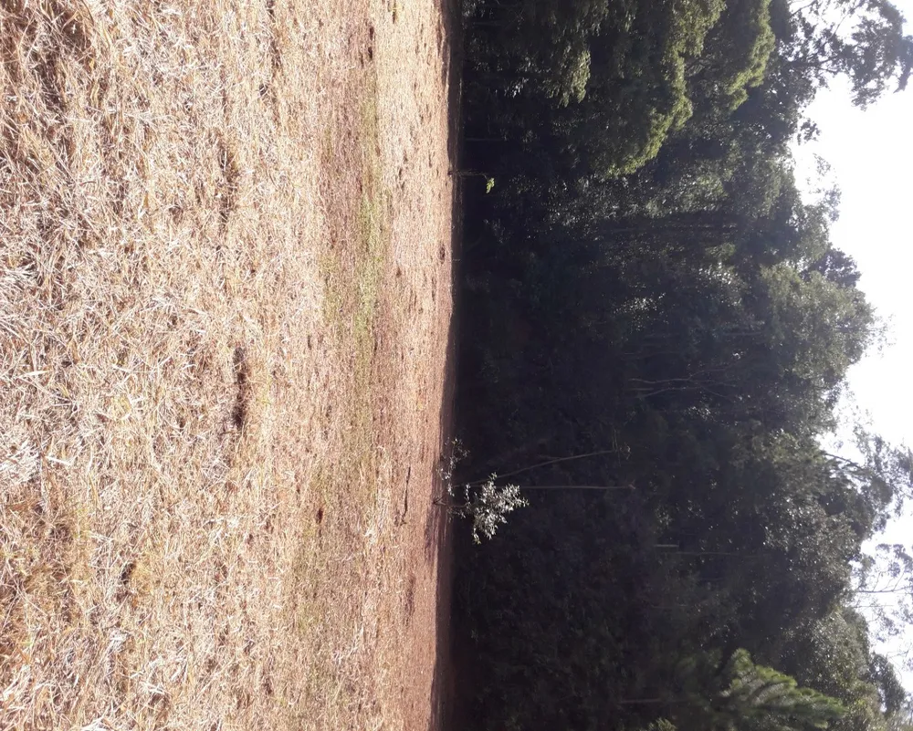 Terreno, 10000 m² - Foto 19