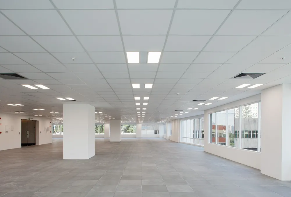 Sala-Conjunto, 2000 m² - Foto 6