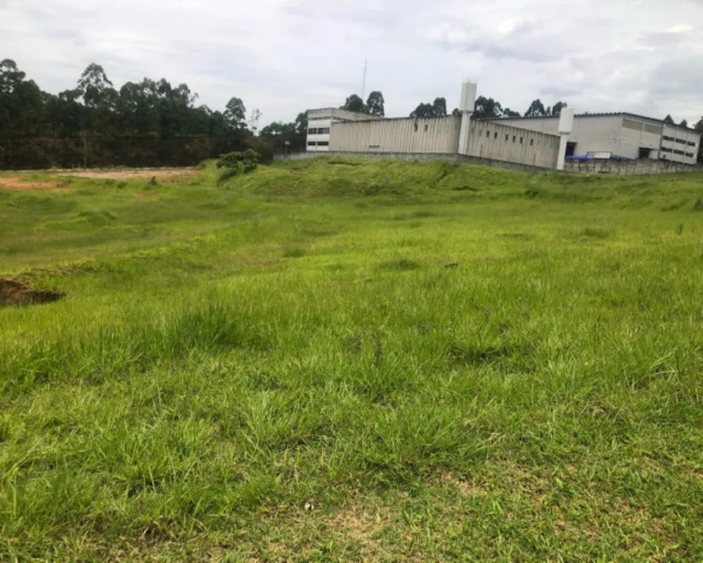 Terreno - Foto 4