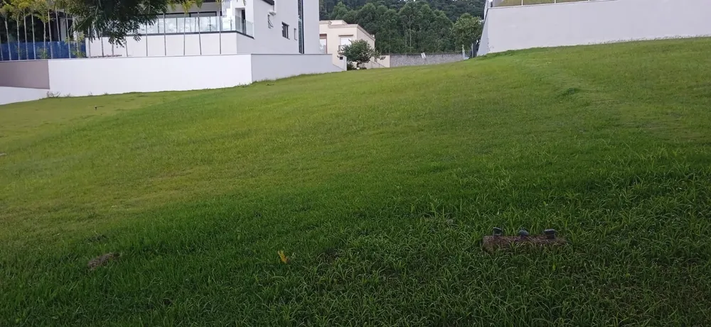 Terreno, 525 m² - Foto 7