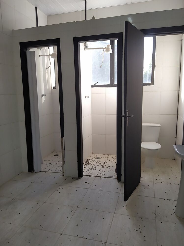 Depósito-Galpão - Foto 3