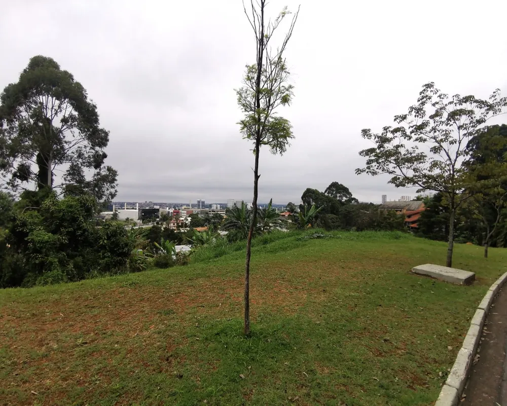 Terreno, 2347 m² - Foto 6