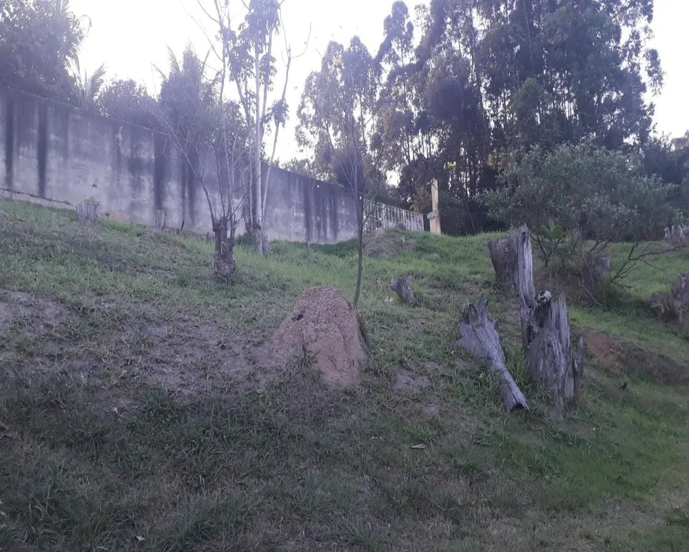 Terreno, 2018 m² - Foto 9