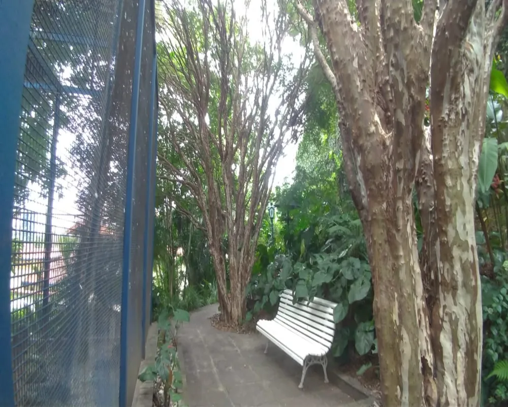 Casa, 3 quartos, 332 m² - Foto 9