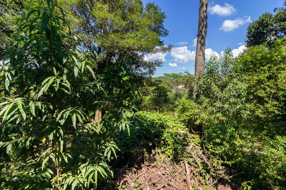 Loteamento e Condomínio, 3800 m² - Foto 6