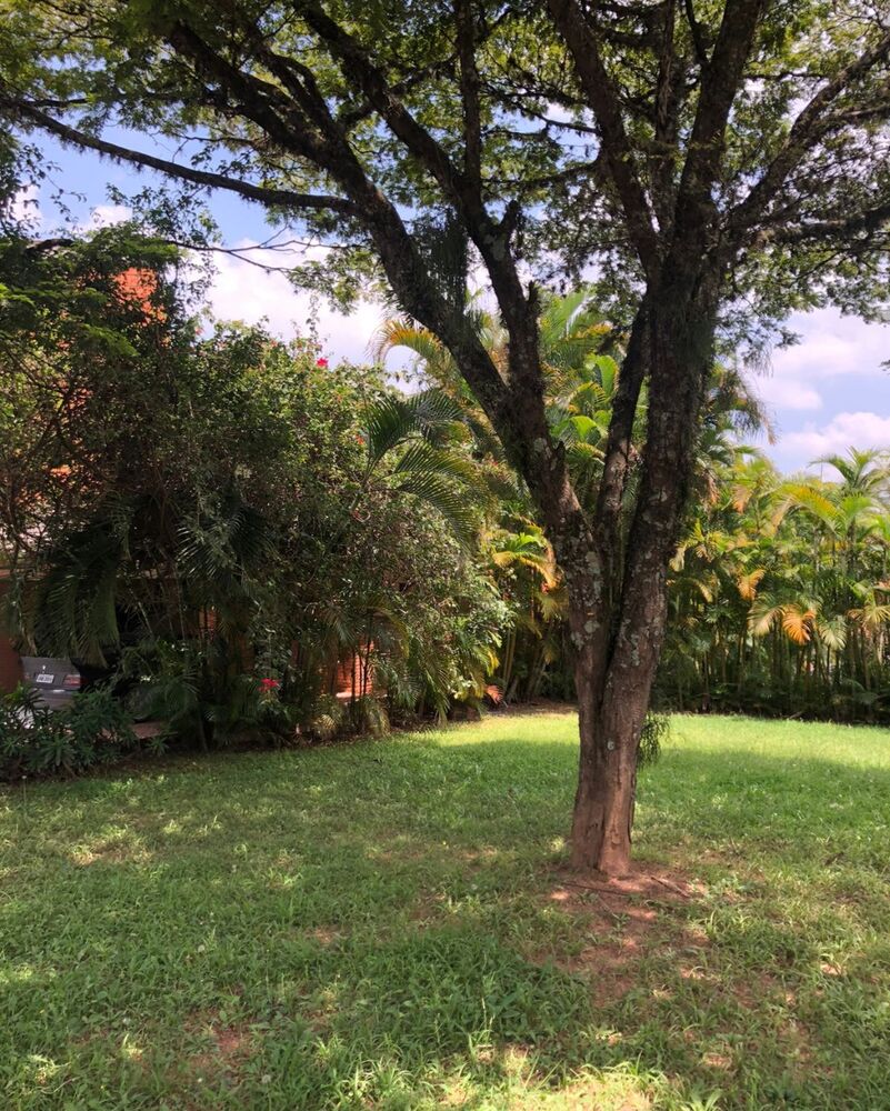 Terreno, 438 m² - Foto 5