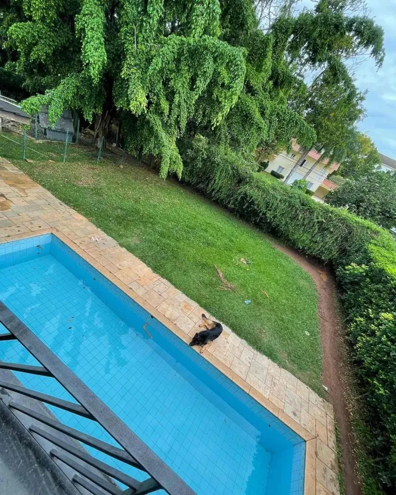 Casa, 4 quartos, 560 m² - Foto 5