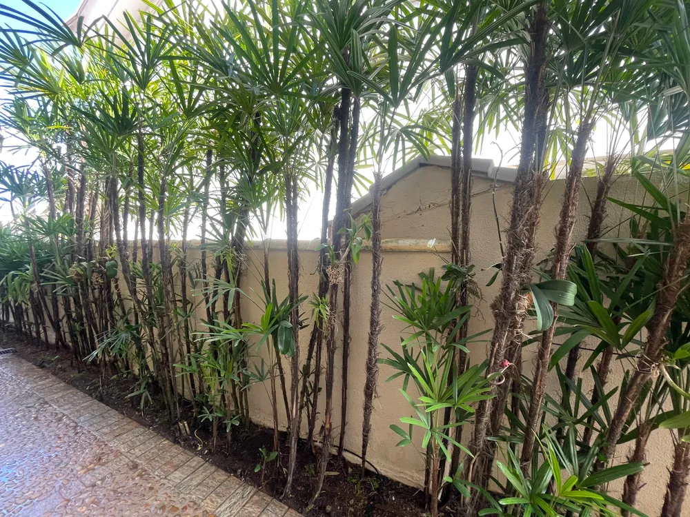 Casa, 4 quartos, 500 m² - Foto 4