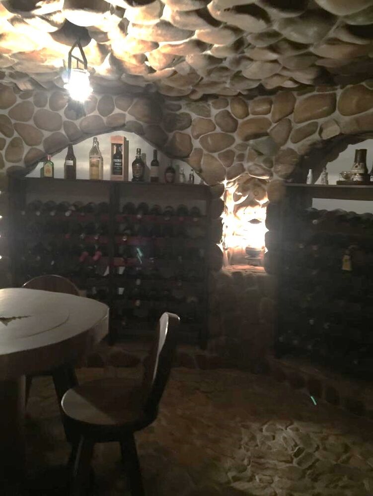 Casa, 4 quartos, 543 m² - Foto 28