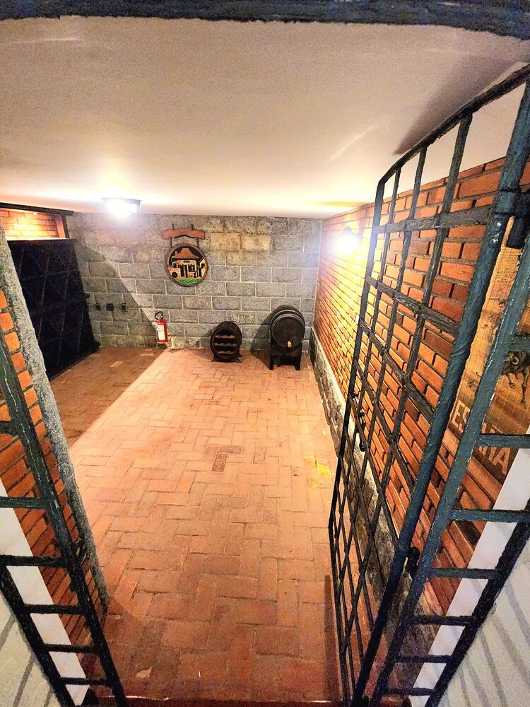 Casa, 4 quartos, 868 m² - Foto 6