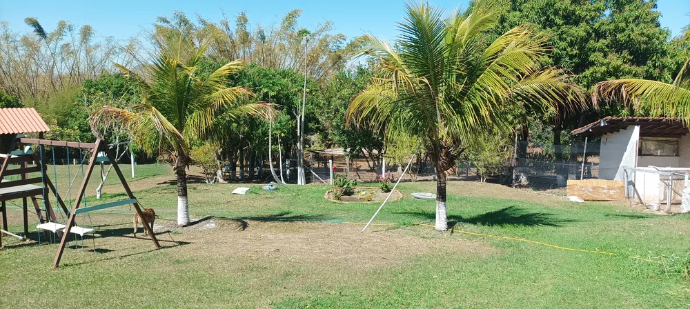 Chácara, 7 quartos, 10000 m² - Foto 18