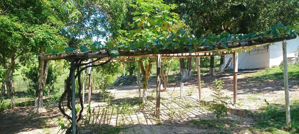 Chácara, 7 quartos, 10000 m² - Foto 17