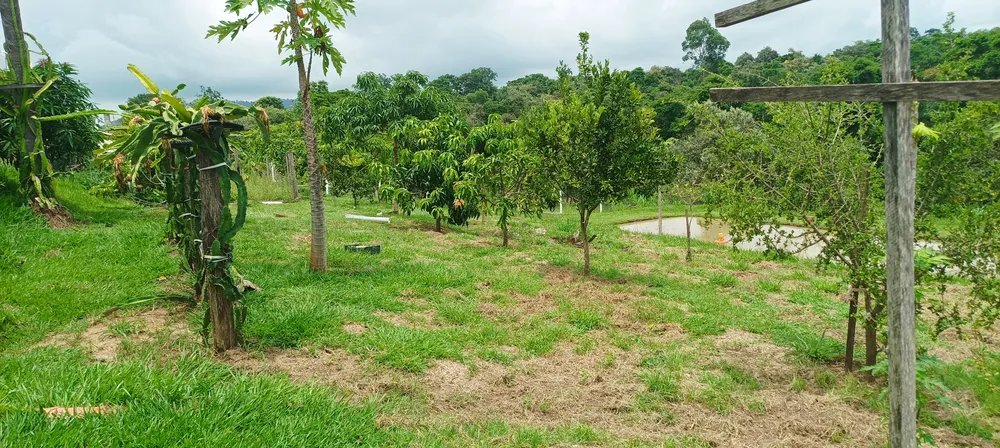 Chácara, 3 quartos, 10000 m² - Foto 16