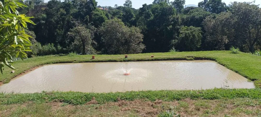 Chácara, 3 quartos, 10000 m² - Foto 14