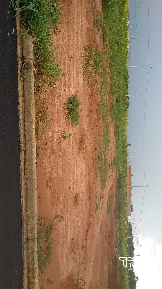 Terreno, 250 m² - Foto 3
