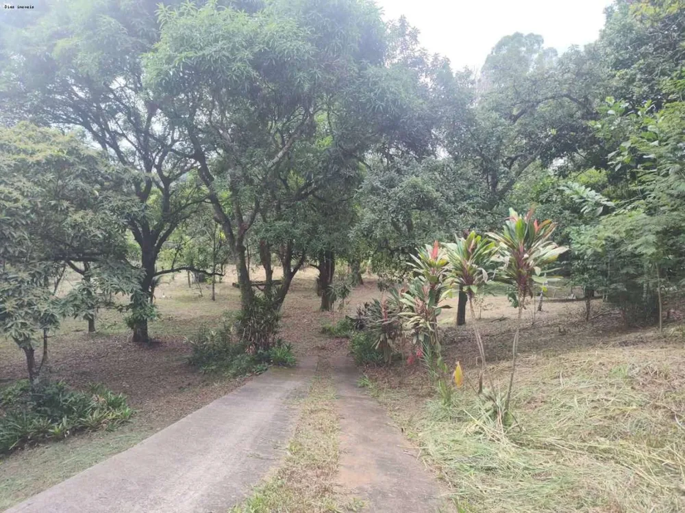 Sítio, 1 quarto, 4 hectares - Foto 28