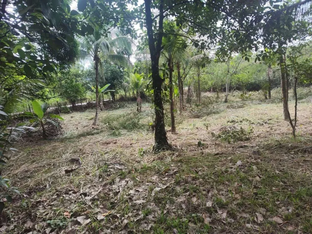 Sítio, 1 quarto, 4 hectares - Foto 34