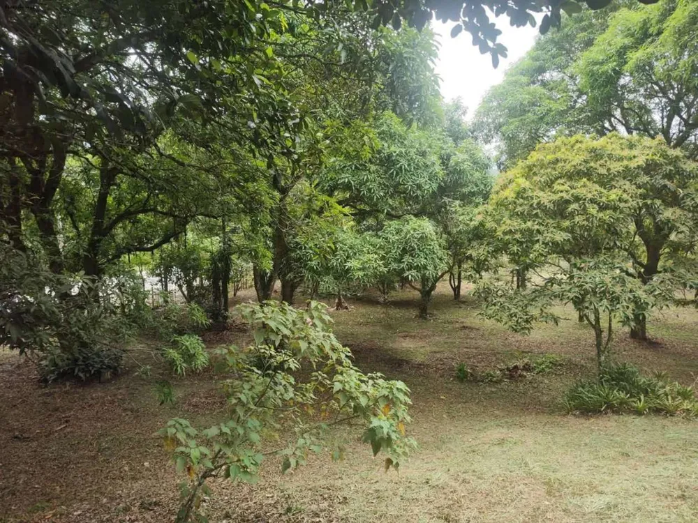 Sítio, 1 quarto, 4 hectares - Foto 30