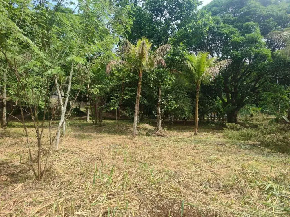 Sítio, 1 quarto, 4 hectares - Foto 33