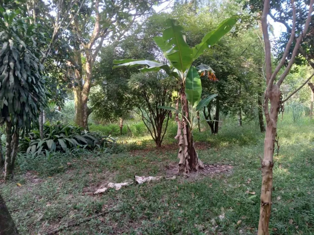 Sítio, 1 quarto, 4 hectares - Foto 7