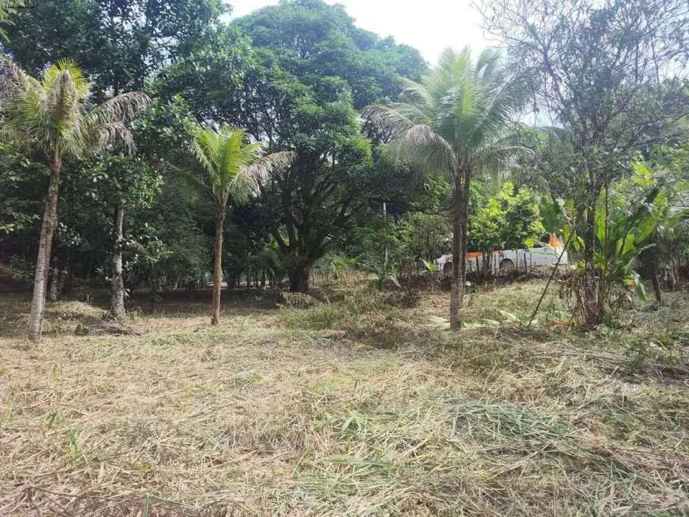 Sítio, 1 quarto, 4 hectares - Foto 1