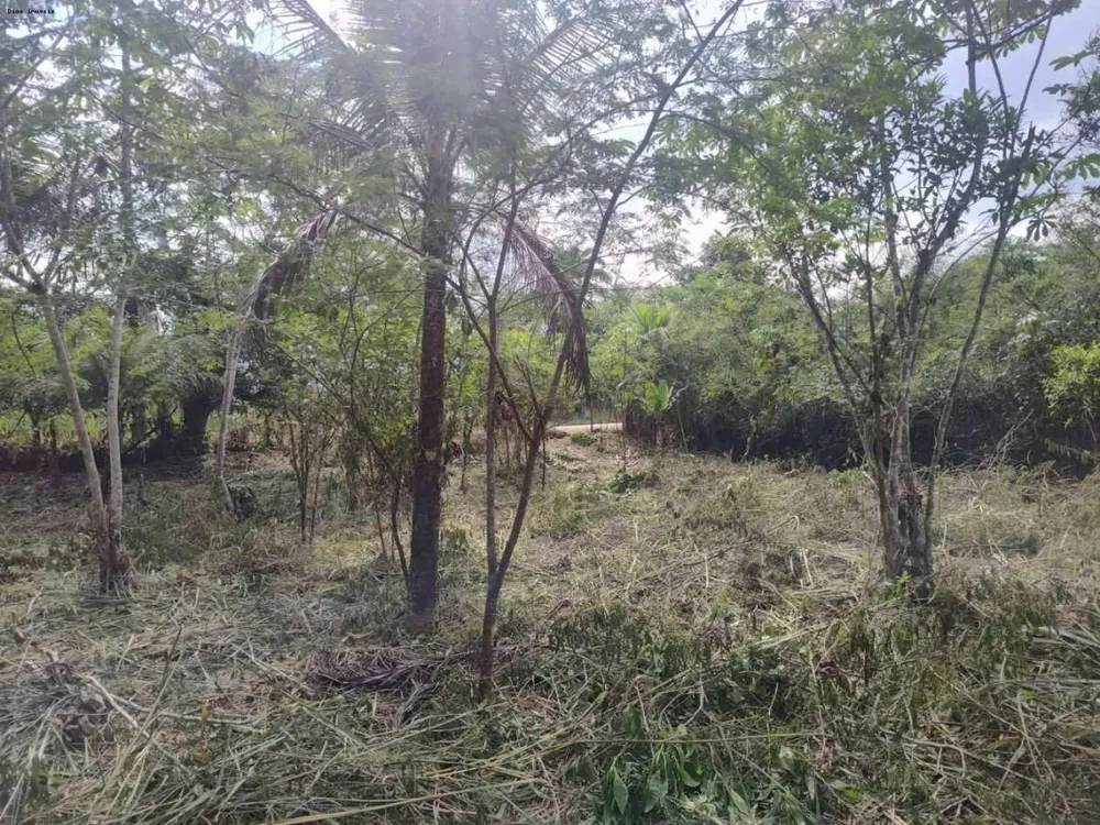 Sítio, 1 quarto, 4 hectares - Foto 8