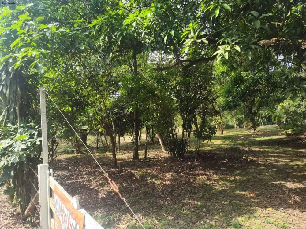 Sítio, 1 quarto, 4 hectares - Foto 22