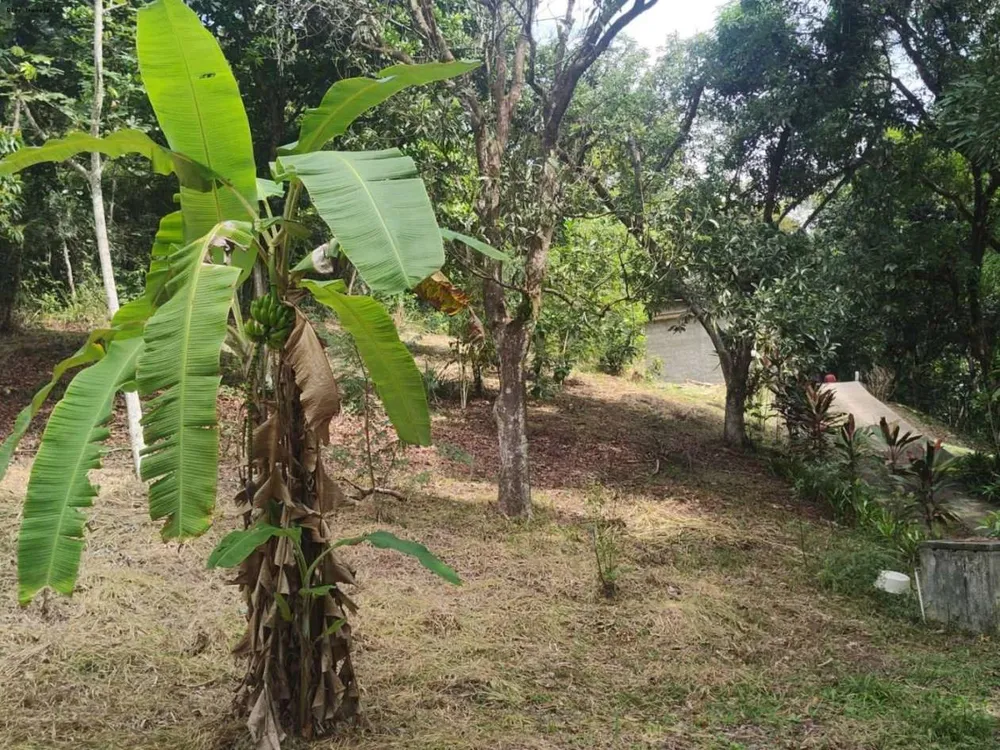 Sítio, 1 quarto, 4 hectares - Foto 2
