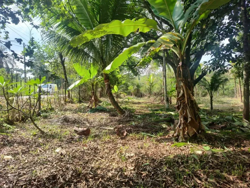 Sítio, 1 quarto, 4 hectares - Foto 37