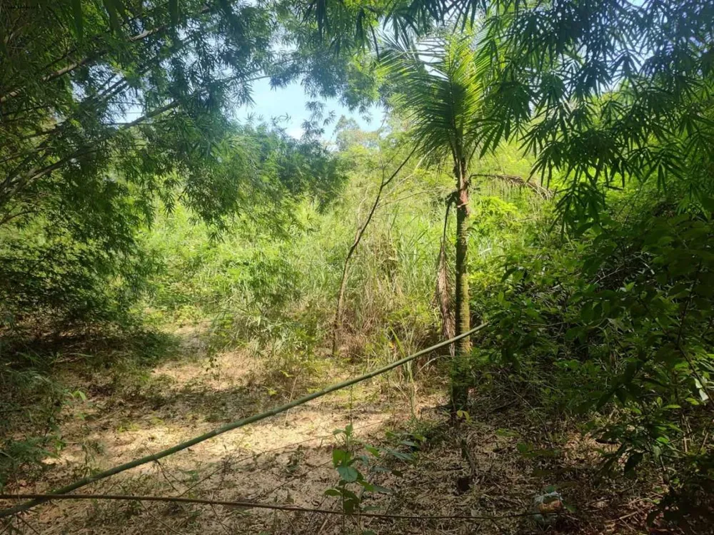 Sítio, 1 quarto, 4 hectares - Foto 3