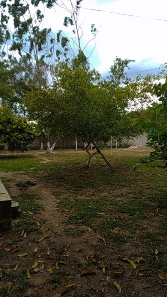 Chácara, 2 quartos, 2280 m² - Foto 23