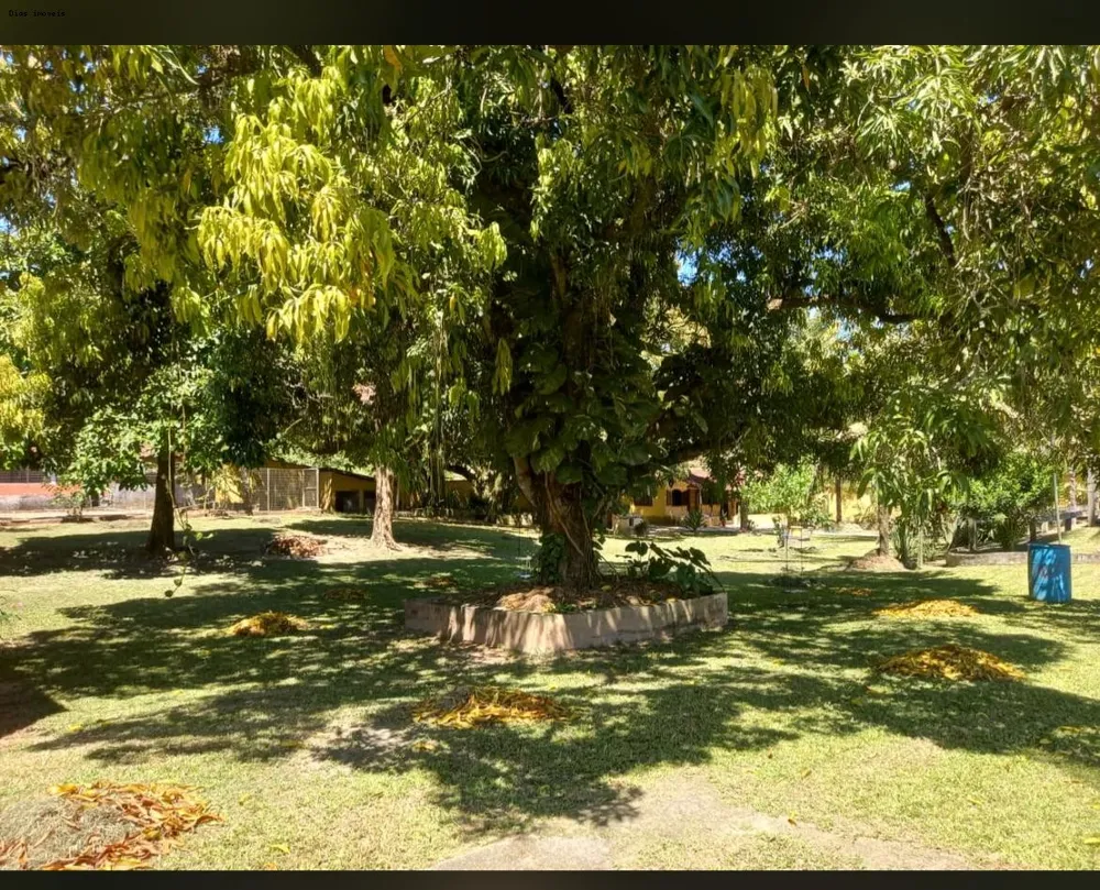Sítio, 5 quartos, 7000 m² - Foto 9