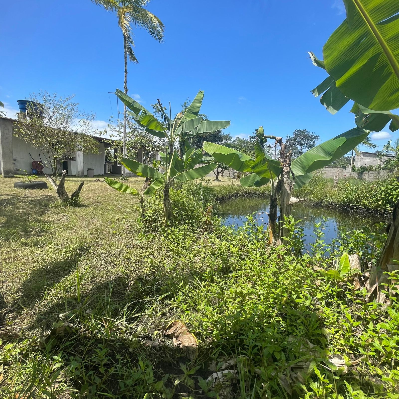 Chácara à venda com 2 quartos, 60m² - Foto 7