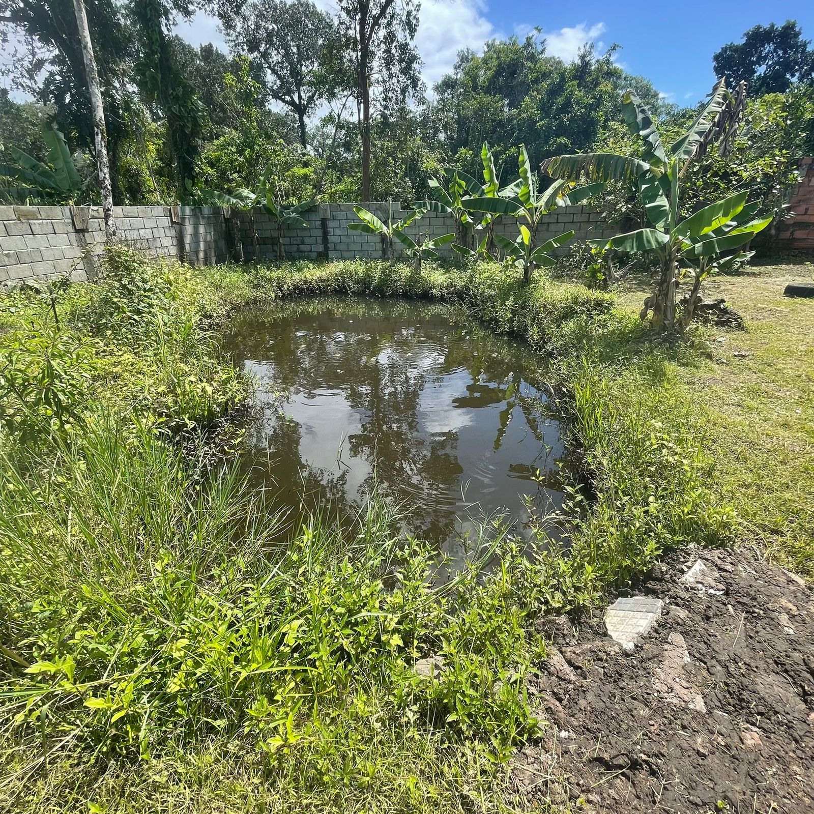 Chácara à venda com 2 quartos, 60m² - Foto 8