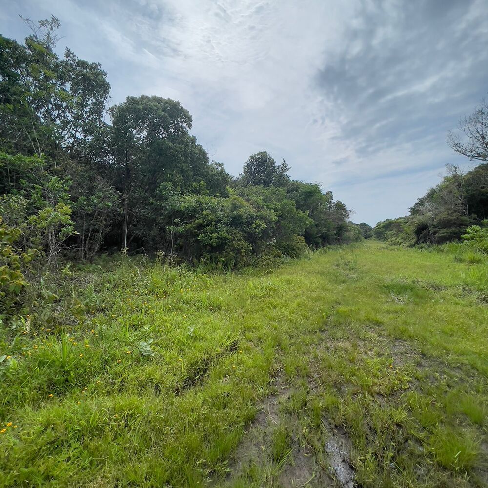 Terreno à venda, 250m2 - Foto 3