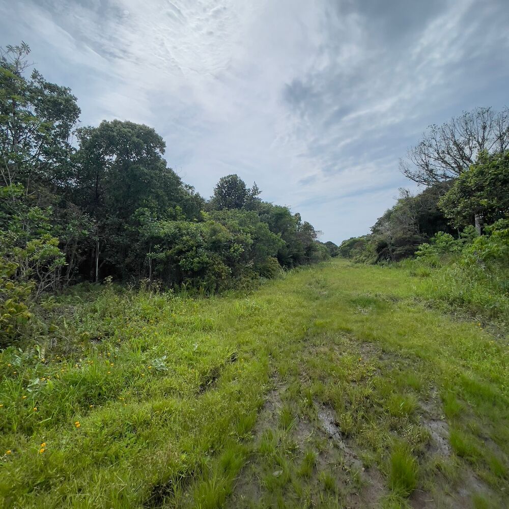 Terreno à venda, 250m2 - Foto 4