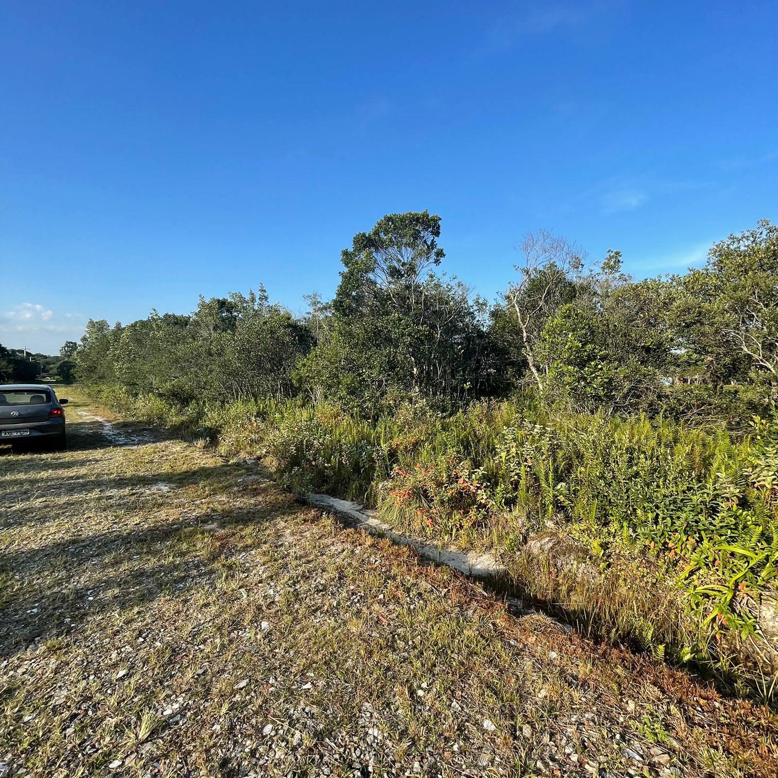 Terreno à venda, 125m2 - Foto 1